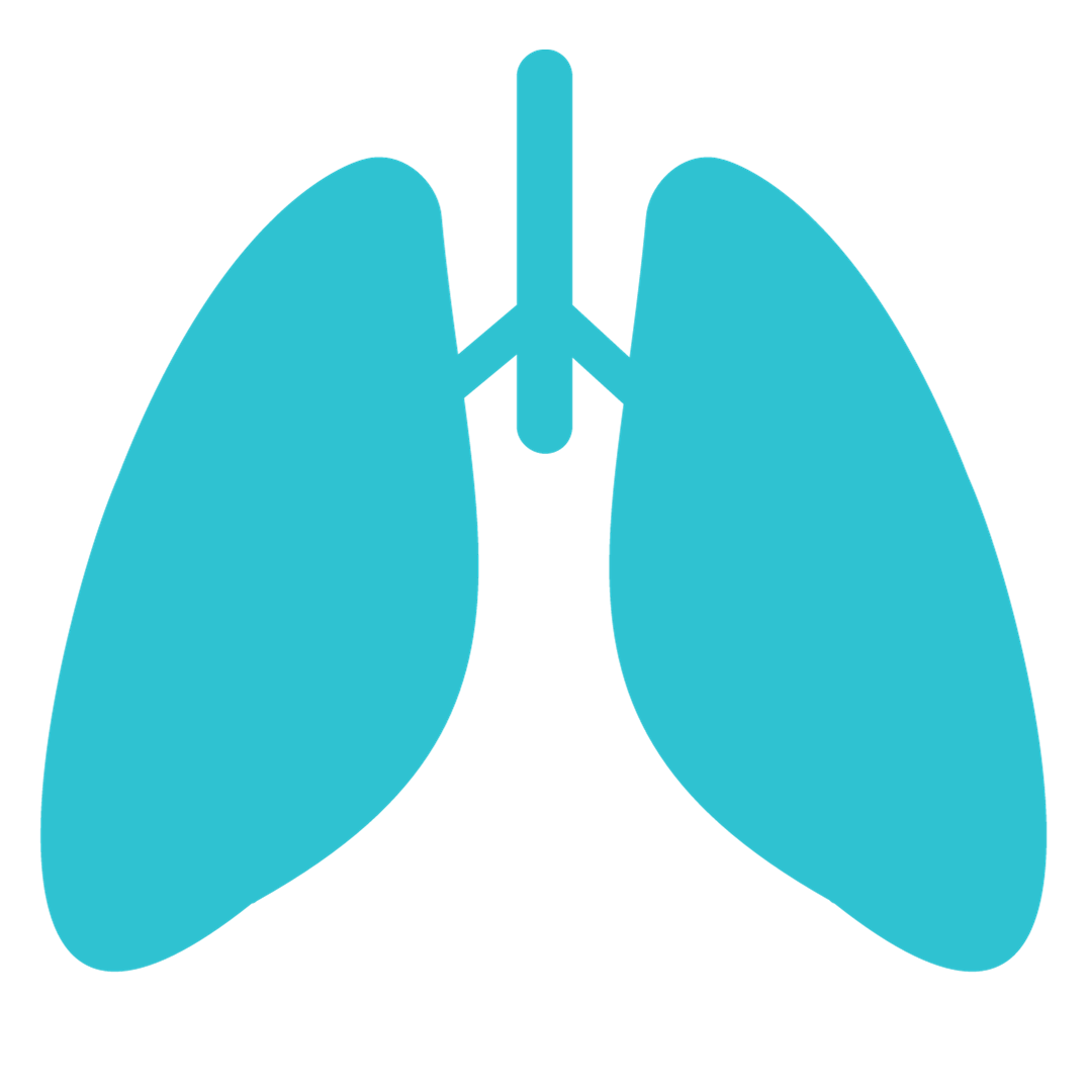 kidney icon